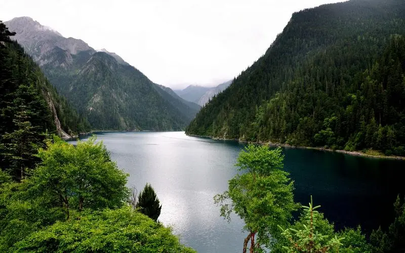 自动化高质量电子